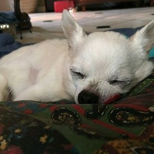 Meet your Posher, Deborah